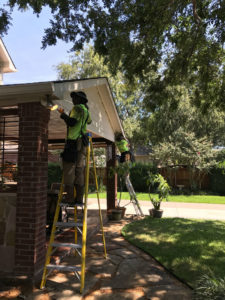 Humble, TX mosquito control services near me