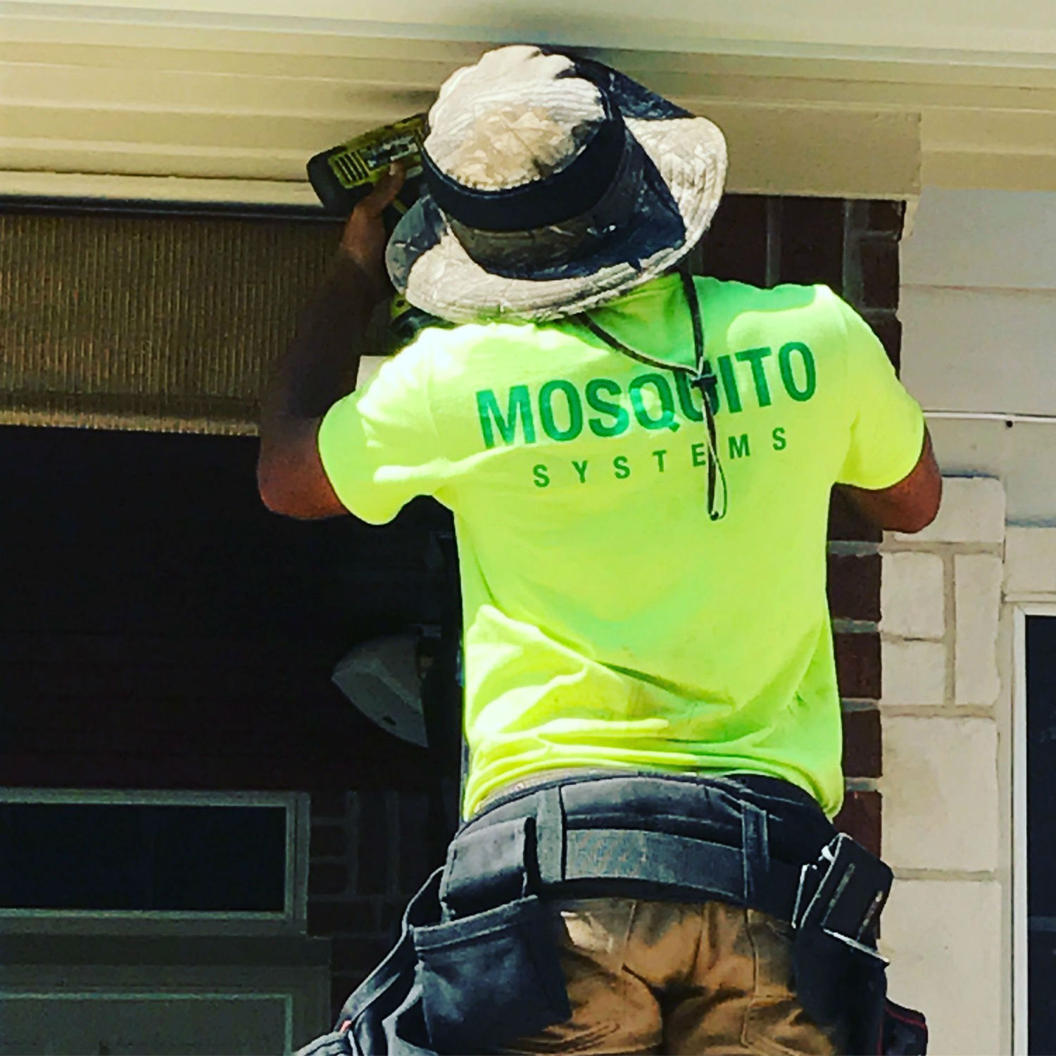 mosquito control Ft. Lauderdale, FL